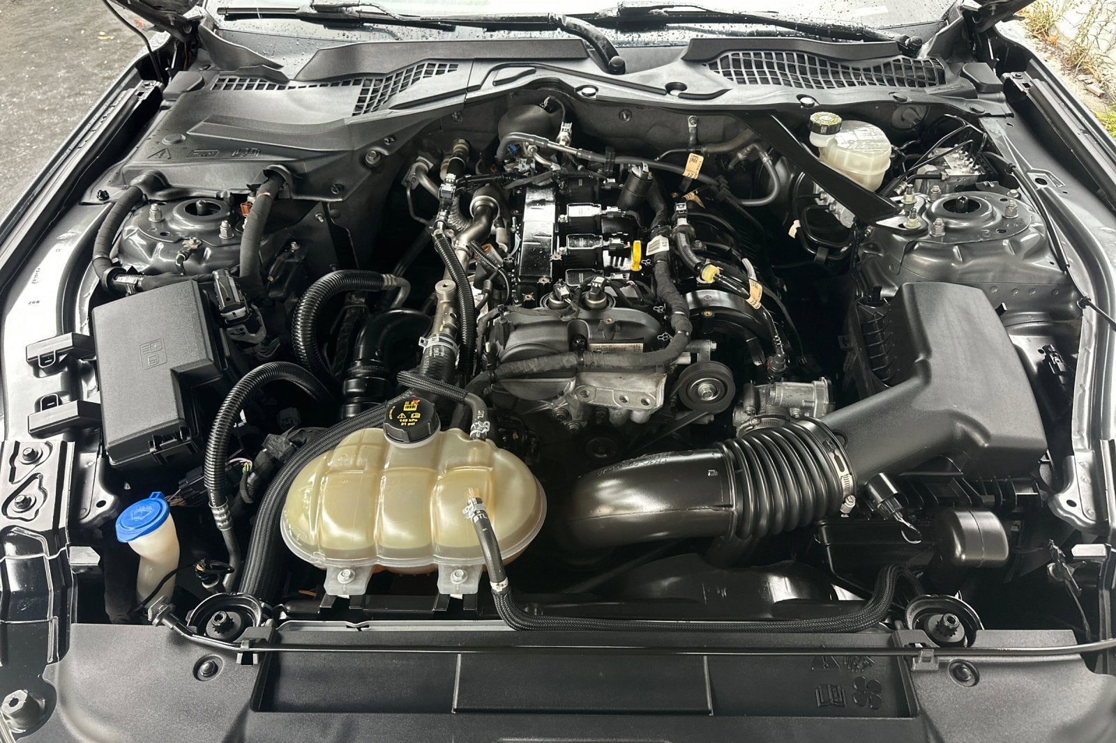 2022 Ford Mustang EcoBoost Premium Convertible