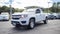 2019 Chevrolet Colorado 4WD Work Truck