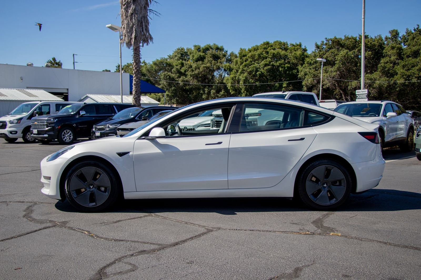 2023 Tesla Model 3 4DR RWD