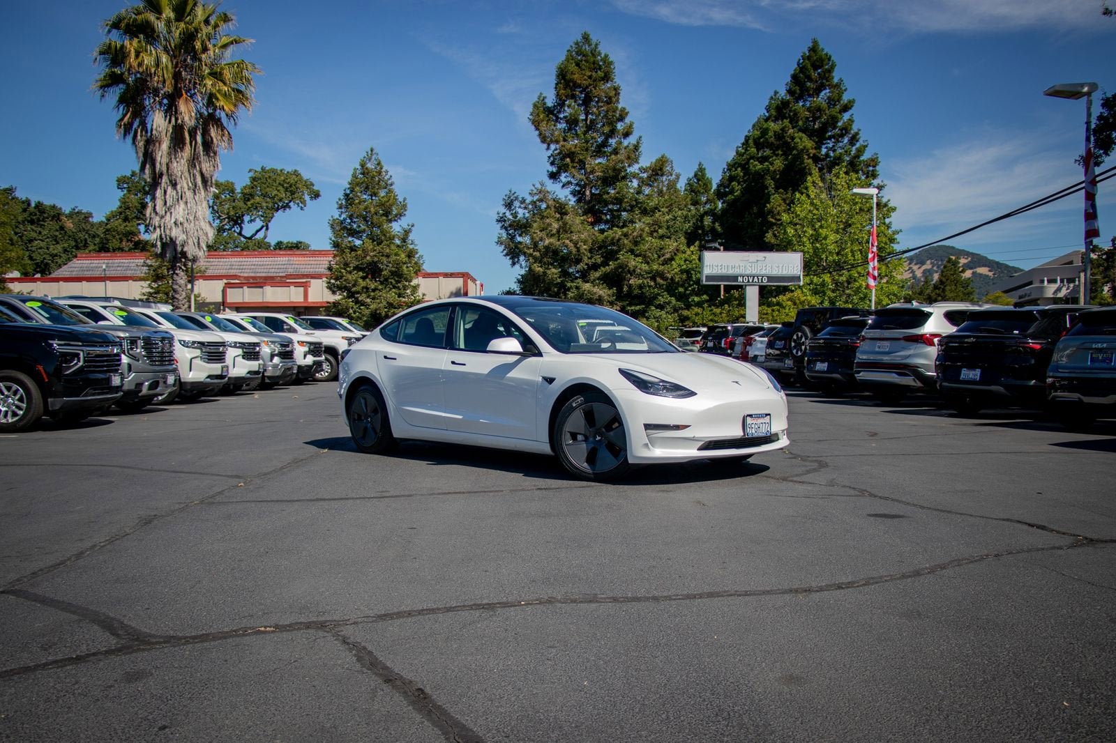 Used 2023 Tesla Model 3 Base with VIN 5YJ3E1EA3PF608614 for sale in Novato, CA