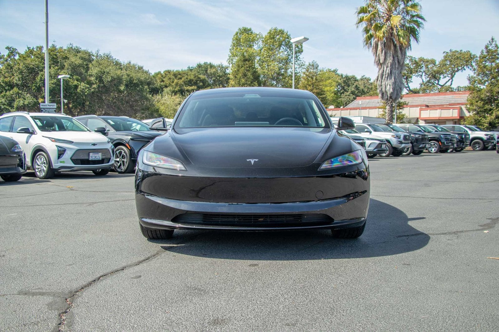 2025 Tesla Model 3 Long Range