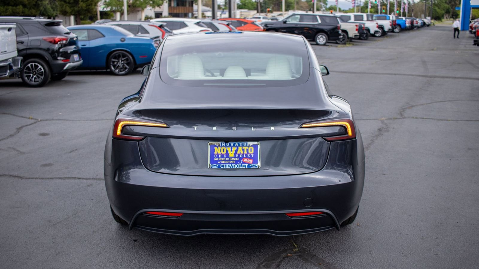 2025 Tesla Model 3 Long Range