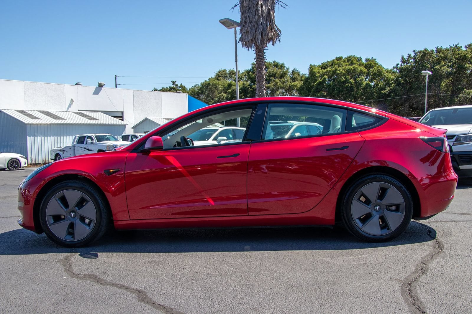 2023 Tesla Model 3 Rear-Wheel Drive