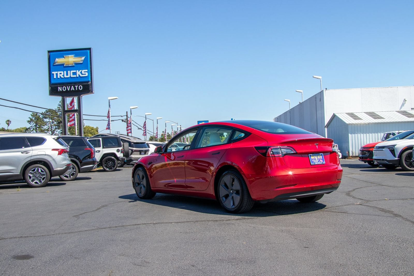 2023 Tesla Model 3 Rear-Wheel Drive