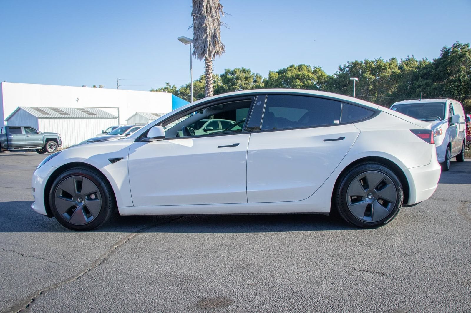 2023 Tesla Model 3 Rear-Wheel Drive