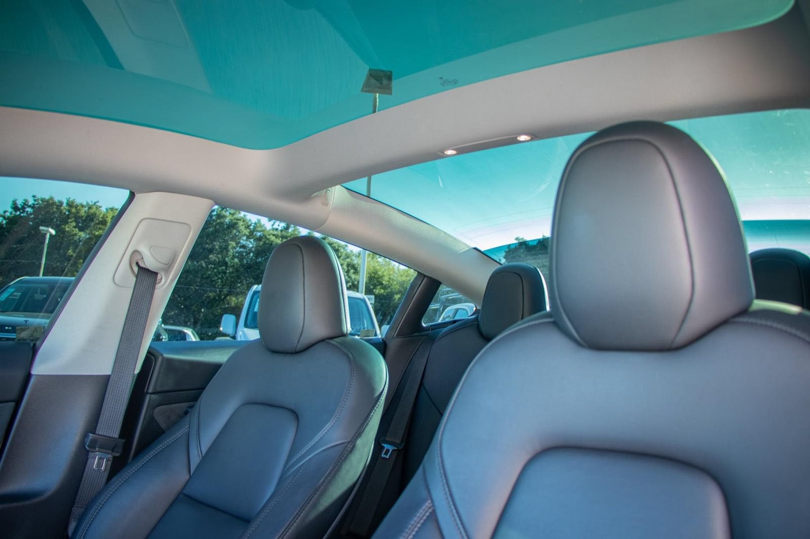 2023 Tesla Model 3 Rear-Wheel Drive