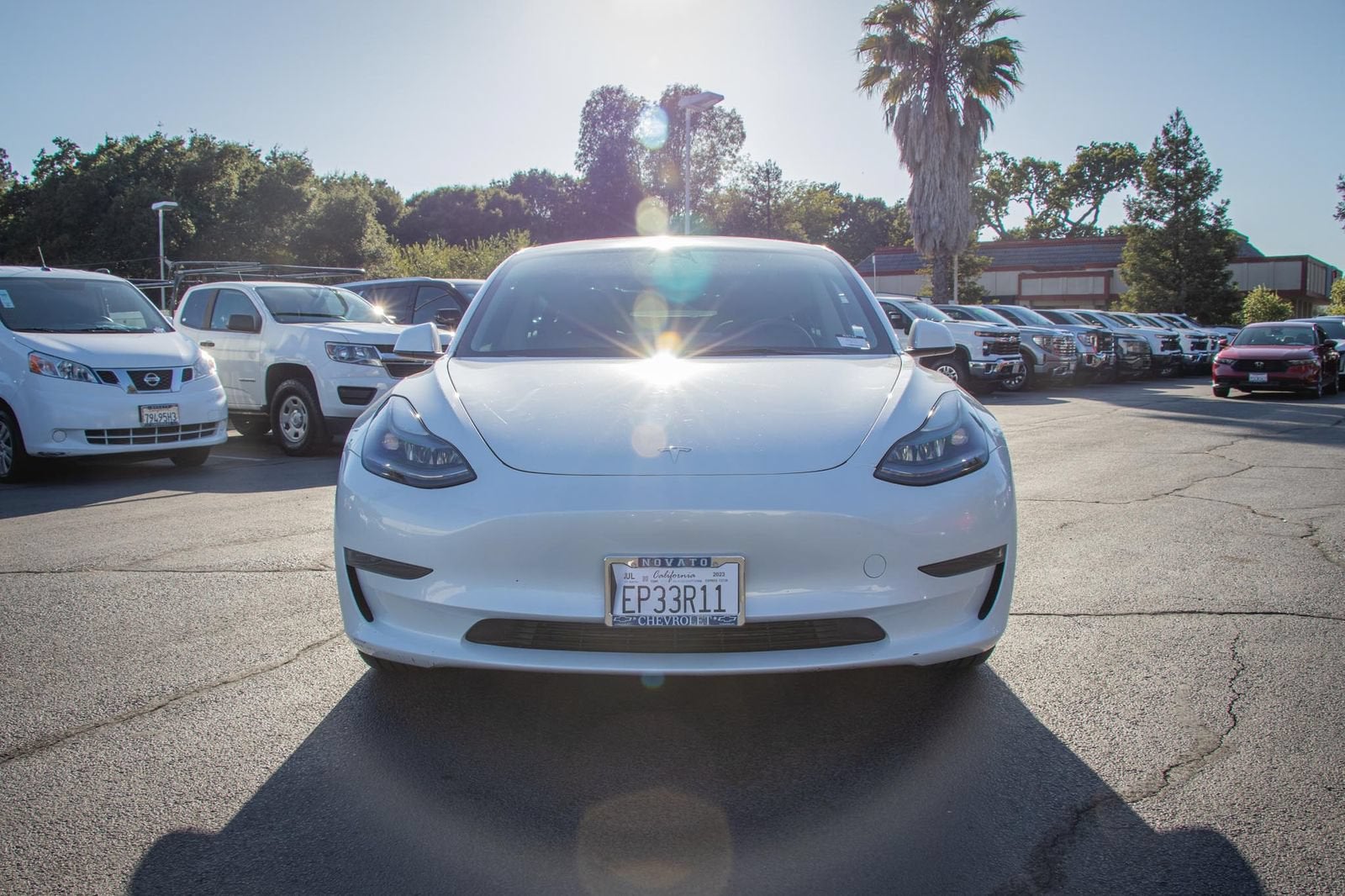 2023 Tesla Model 3 Rear-Wheel Drive