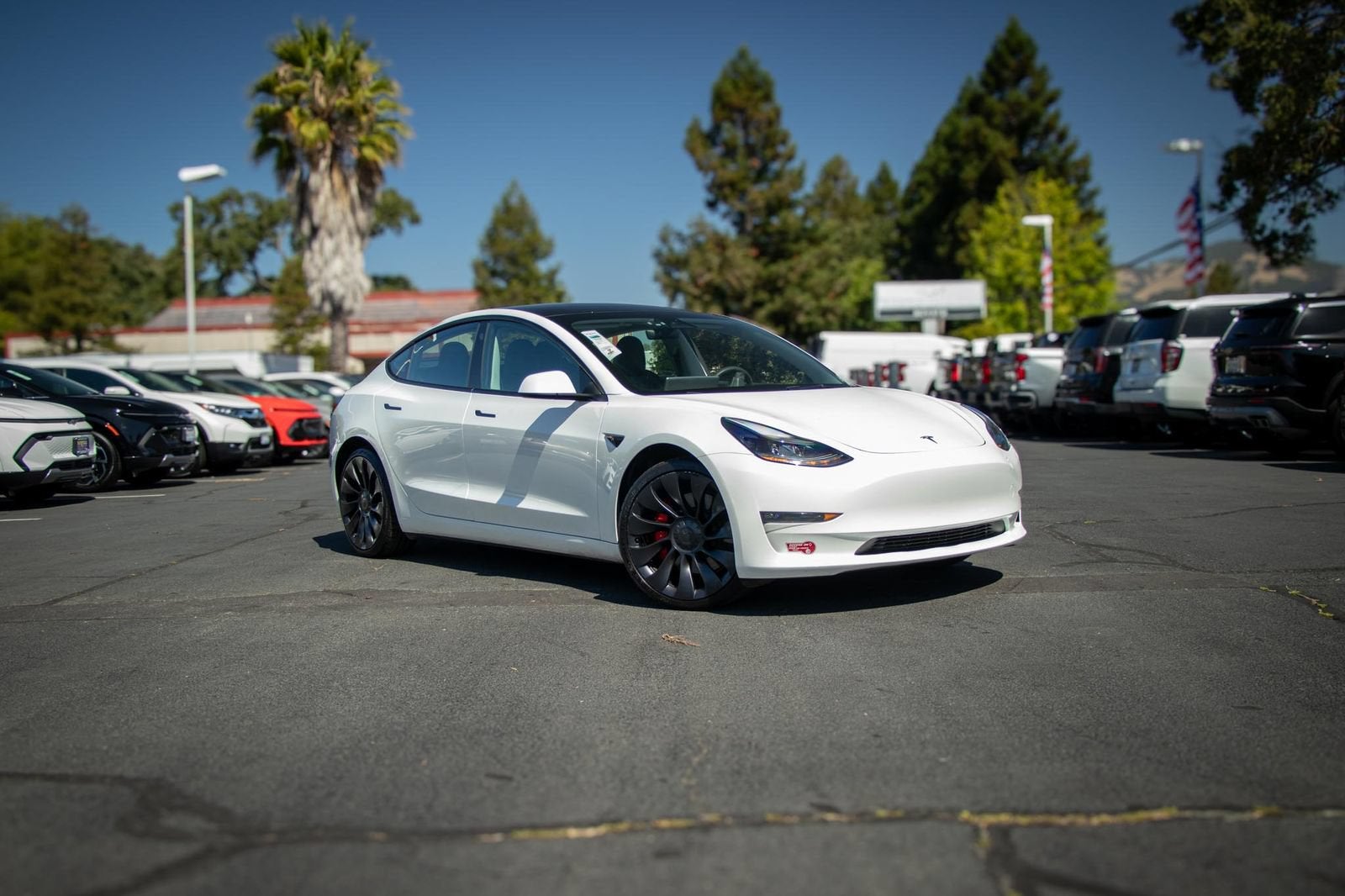 Used 2023 Tesla Model 3 Performance with VIN 5YJ3E1EC9PF551112 for sale in Novato, CA