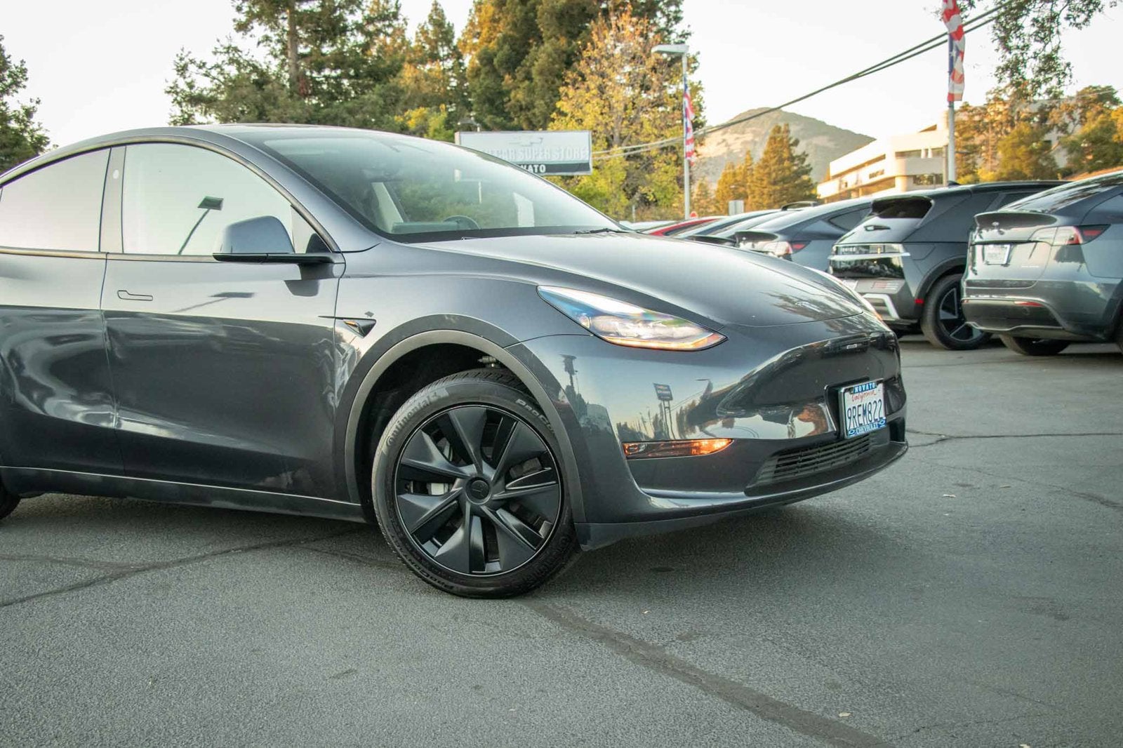 2025 Tesla Model Y Long Range