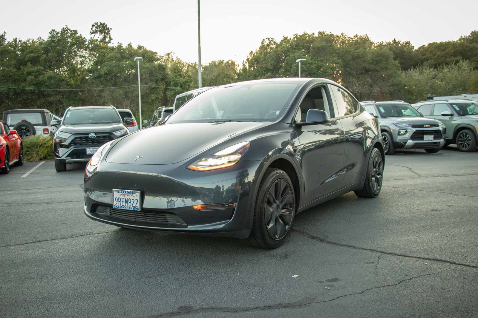 2025 Tesla Model Y Long Range