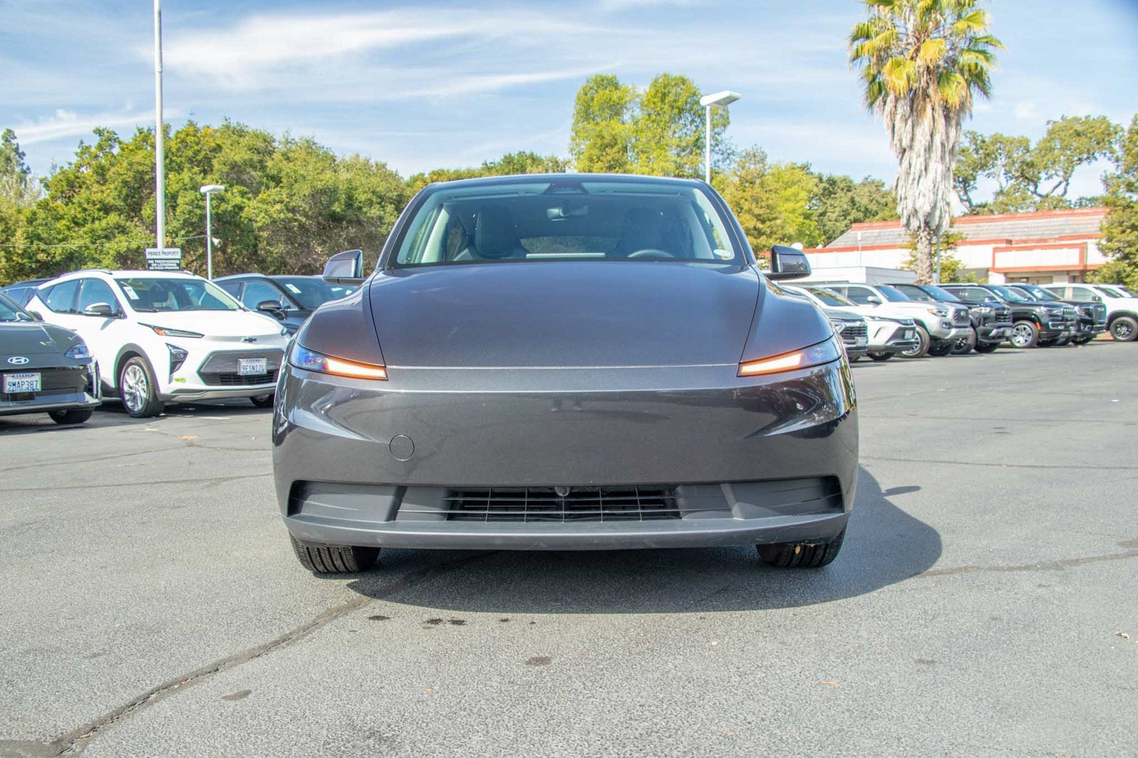 2026 Tesla Model Y Premium