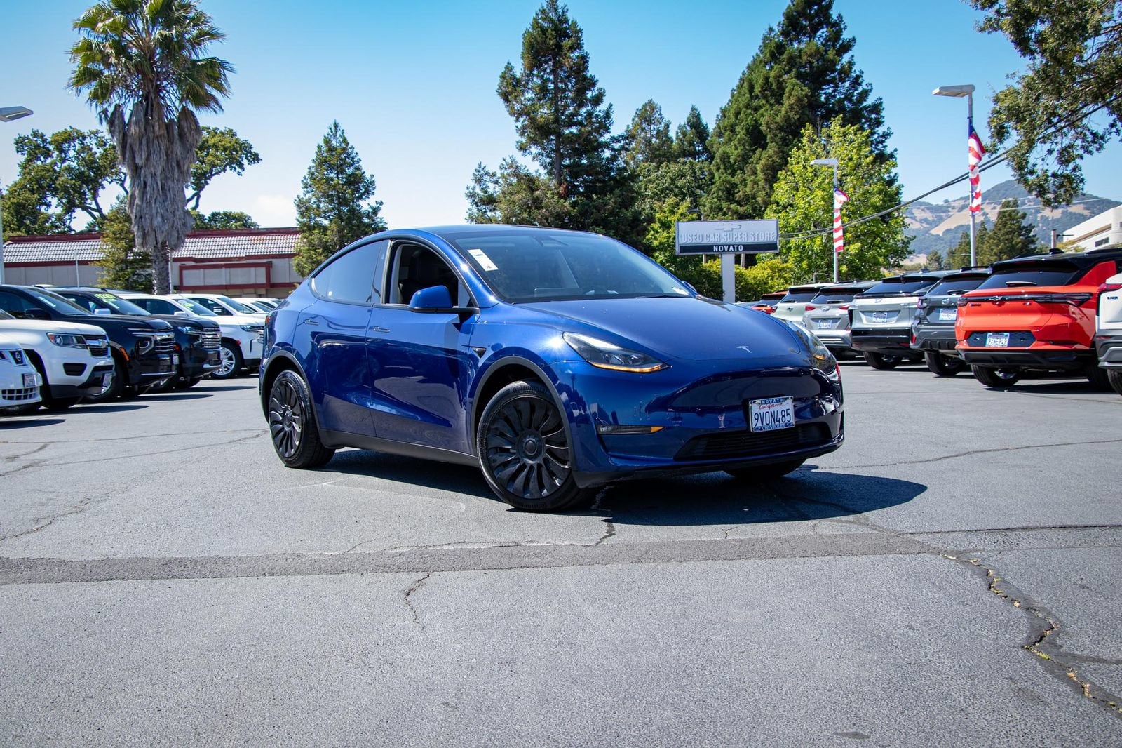 2024 Tesla Model Y Long Range