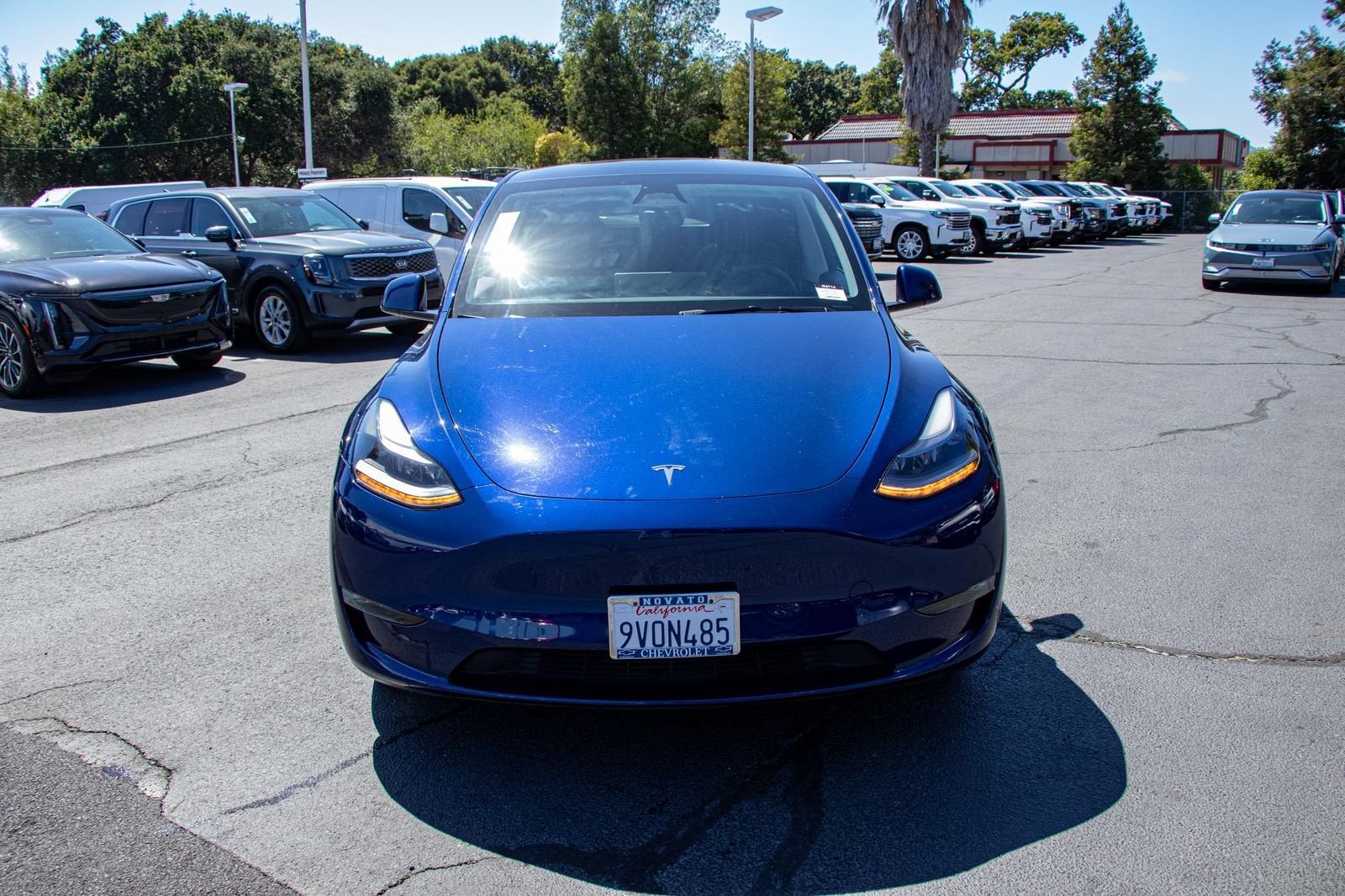 2024 Tesla Model Y Long Range