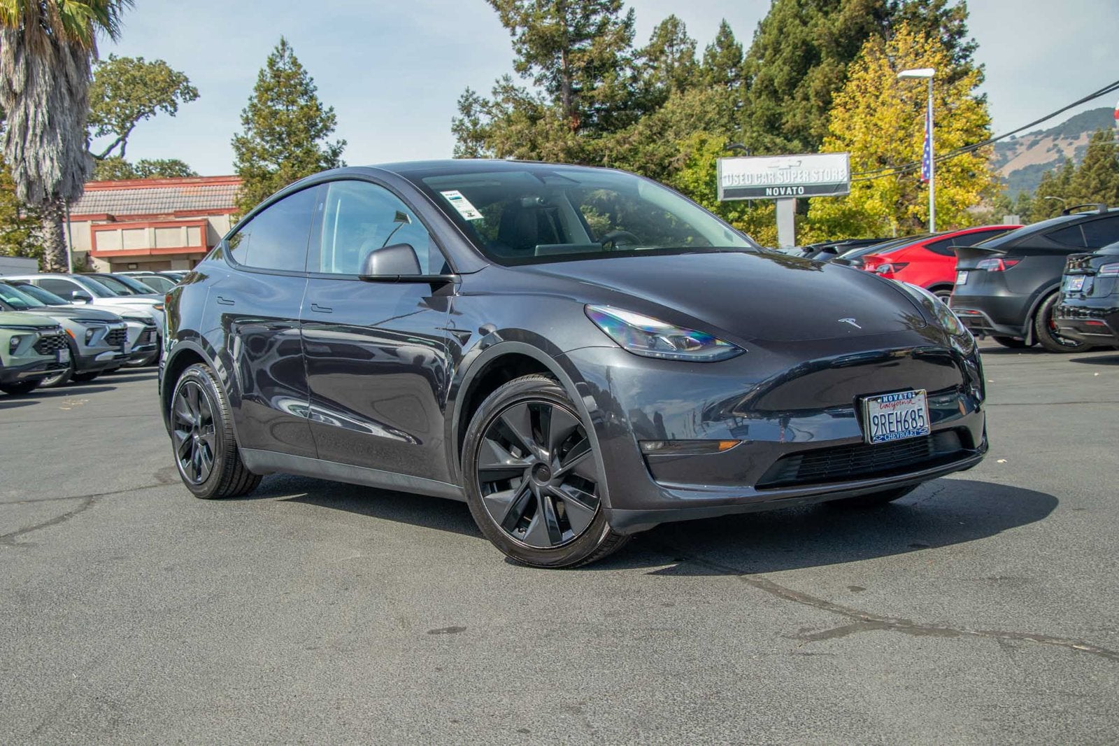 2025 Tesla Model Y Long Range