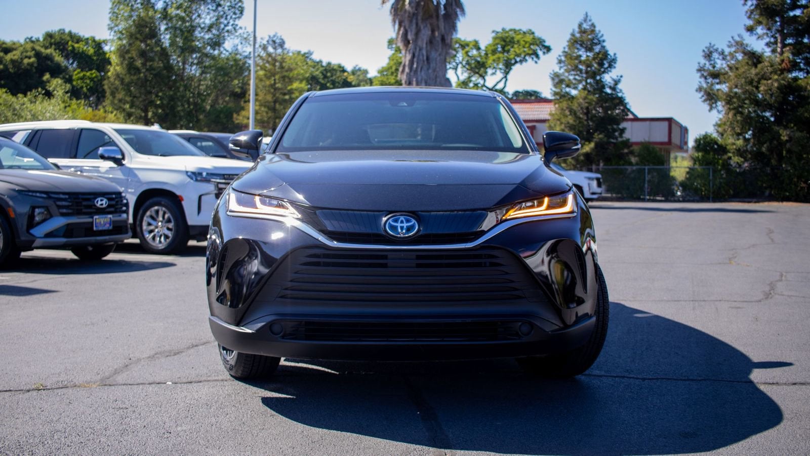 2023 Toyota Venza LE
