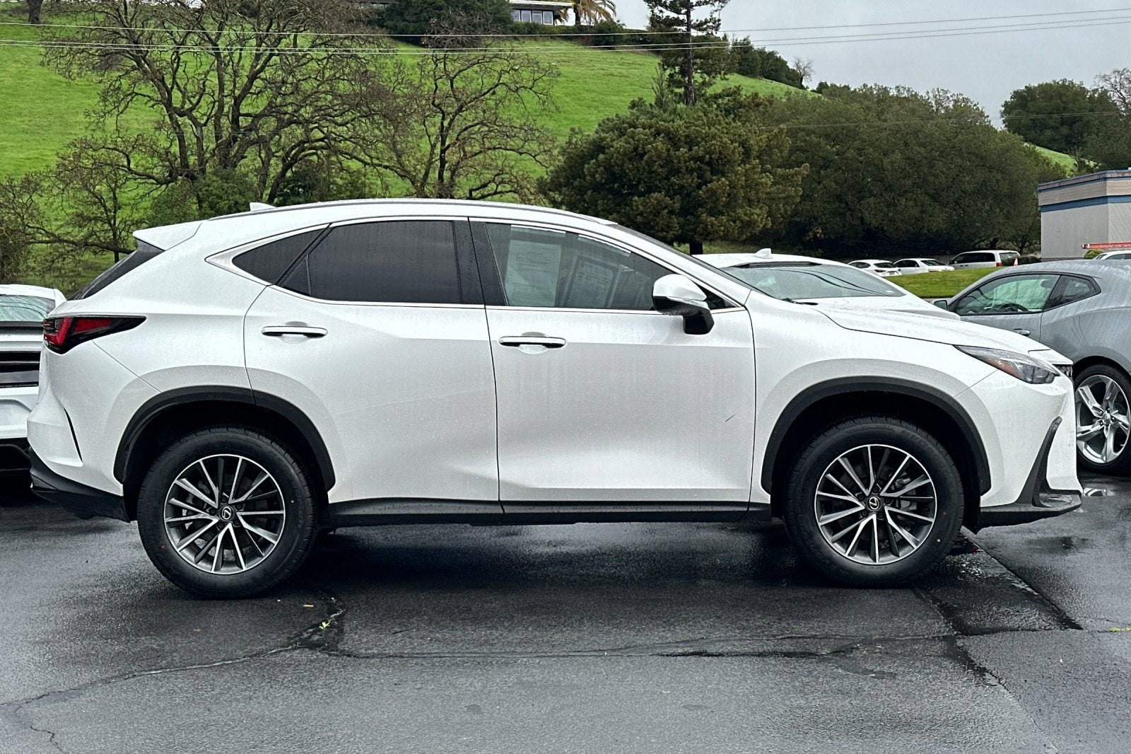 2024 Lexus NX NX 350h