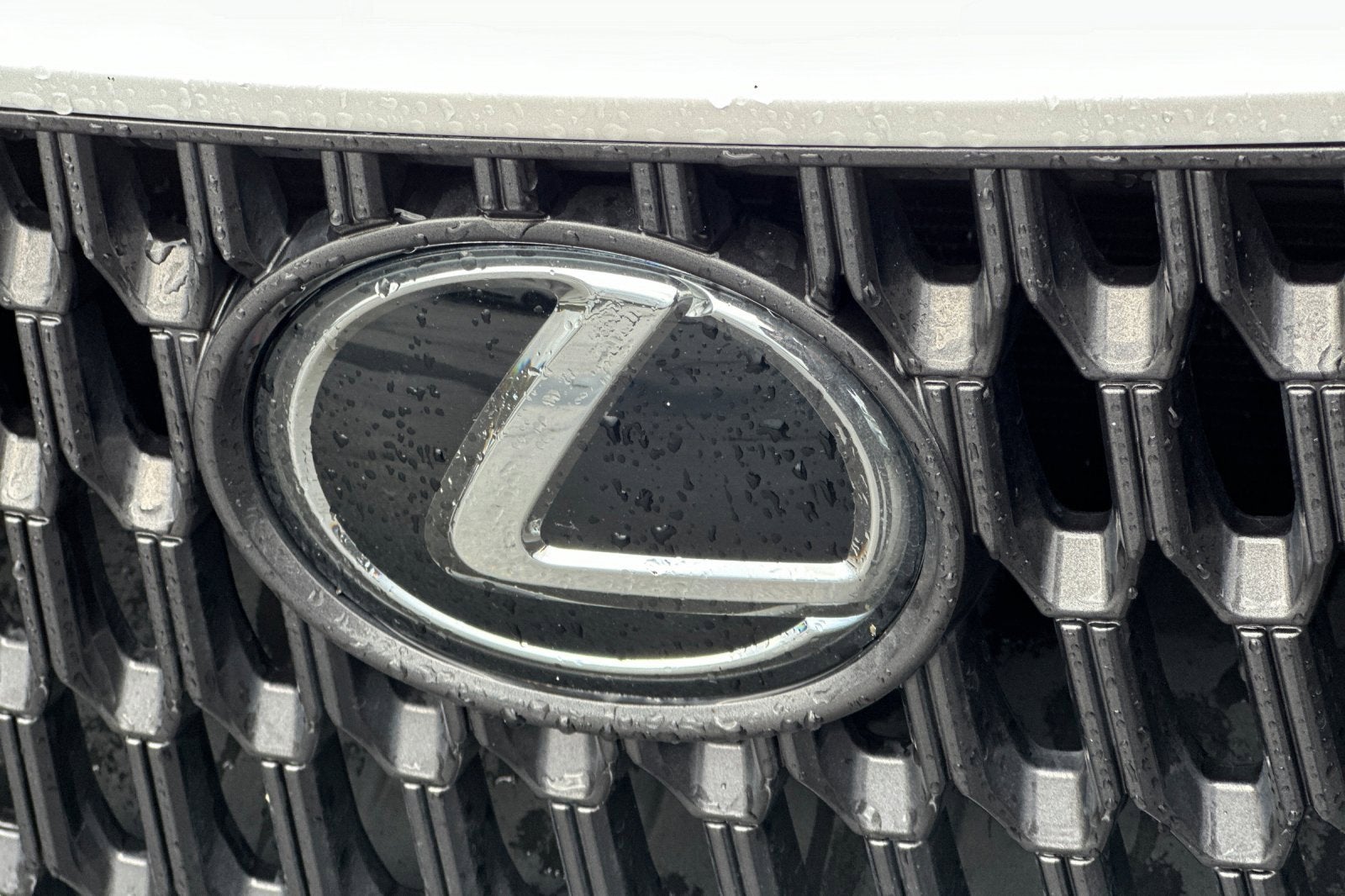 2024 Lexus NX NX 350h