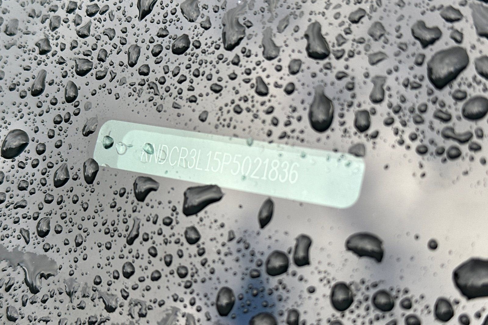 2023 Kia Niro EV Wind