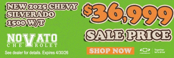 New 2025 Chevy Silverado 1500 W/T